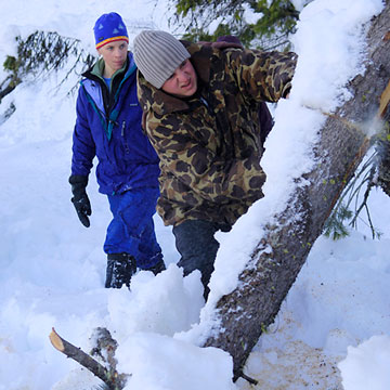 The road to the site of recent cougar tracks has been blocked by a fallen tree. Cooley and Wilson tackle the obstruction with the chainsaw they carry with them on every cougar trip.