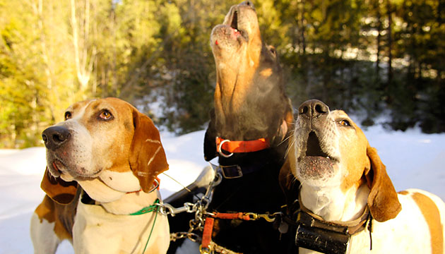 ...he finally gives in.