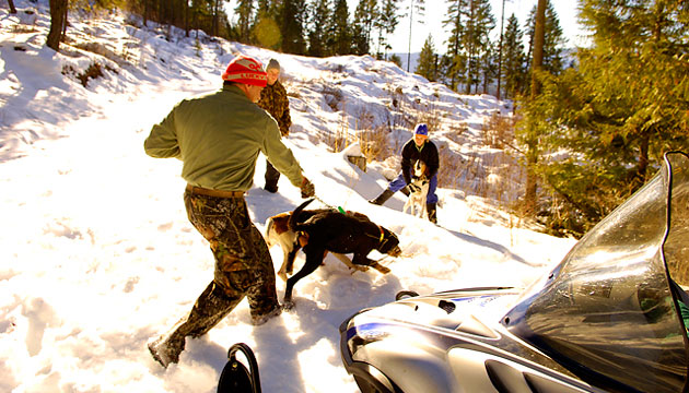 MacArthur brings Sooner and Newly to the cougar tracks, as Cooley restrains her hound, Emma (background).