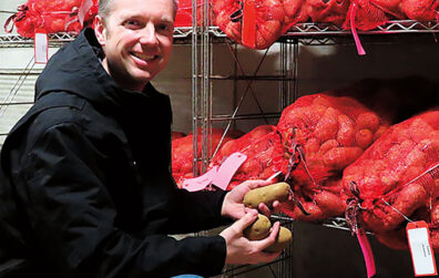 Man holds raw potatoes in a cold storage room