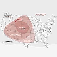 Yellowstone eruption ash beds