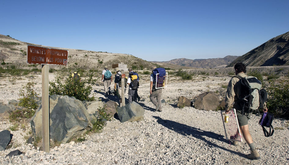 Bishop and student crew begin the long hike into the pumice plain beneath St. Helens's crater.
