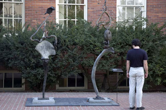 Triumph 6 and Triumph 8