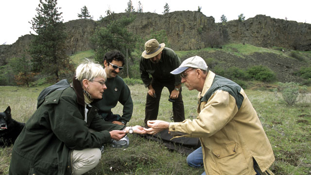 Rich Old, Jo Savage, Mike Barenti, Tim Steury