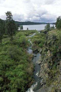 A tributary flows into Rock Creek just before it enters Rock Lake