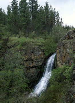 An unnamed falls on a tributary of Rock Creek