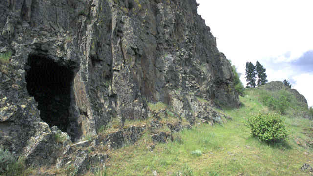 “Hole in the Ground“