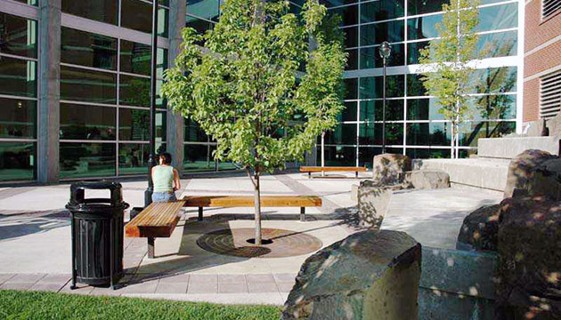 Courtyard, Health Sciences Building
