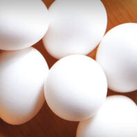 White chicken eggs close up