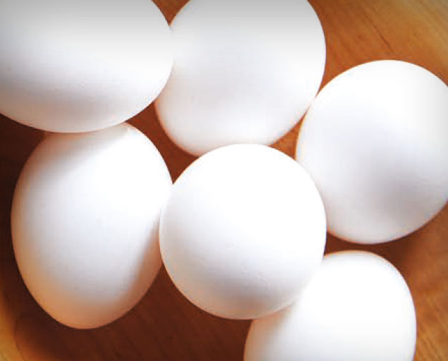 White chicken eggs close up