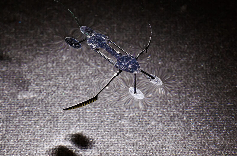 Tiny robot resembling a water strider bug