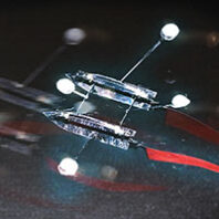 Tiny water robot resembling an insect. Photo by Robert Hubner and courtesy WSU Autonomous Microrobotic Systems Laboratory
