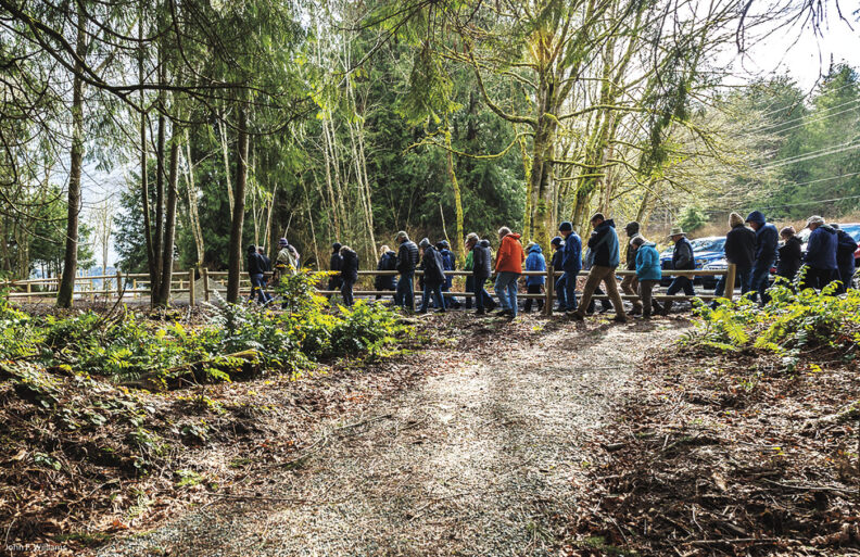 A group of people walk next to a fence through some woods