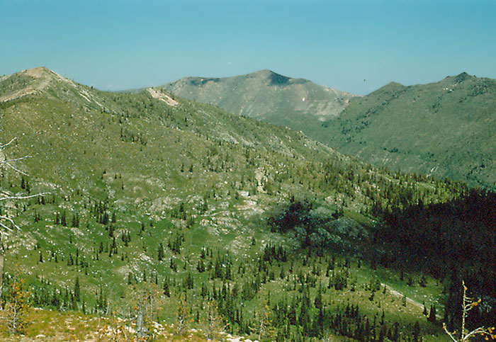 Green mountains with trees