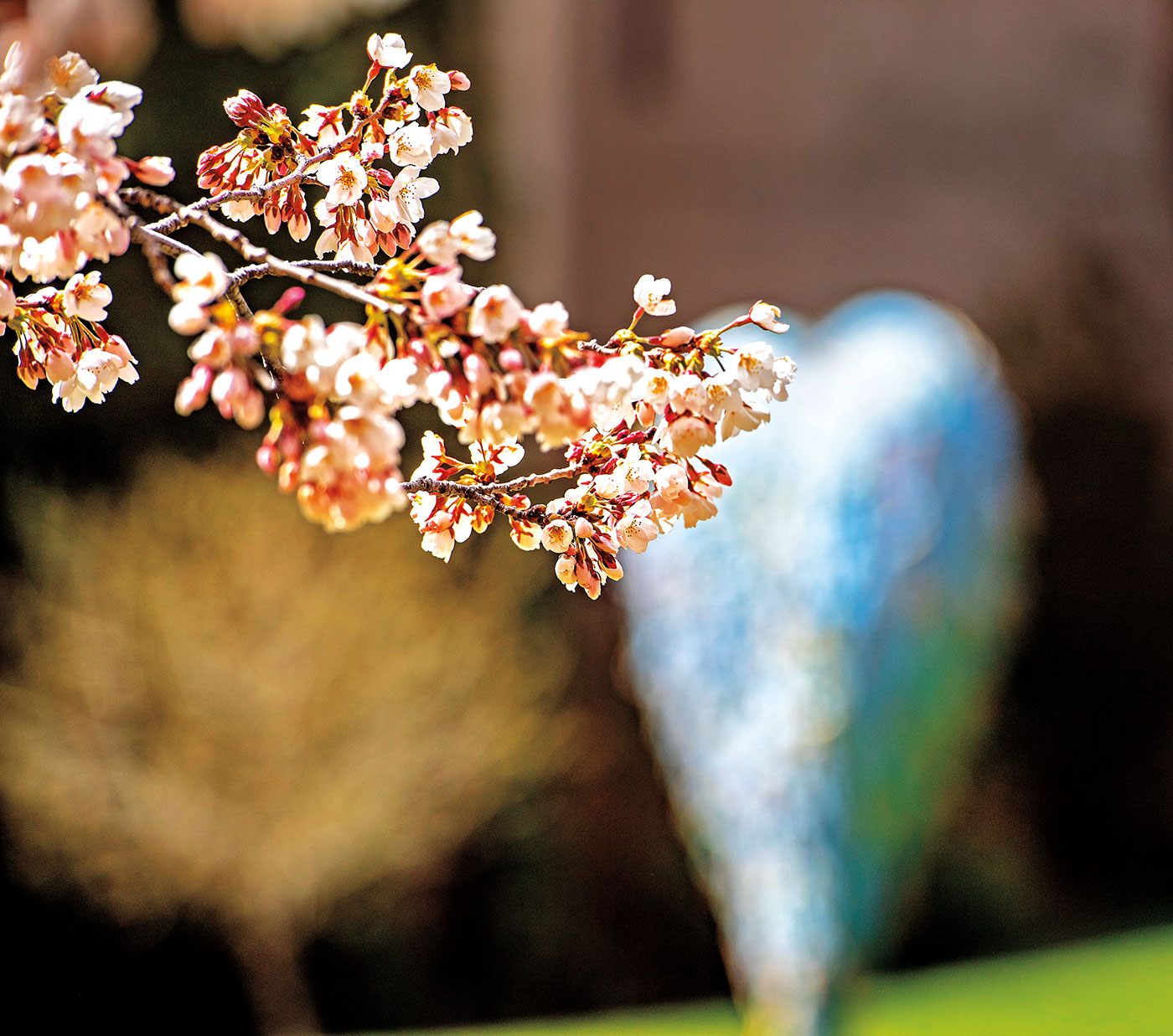 digital-magazine-washington-state-magazine-washington-state-university