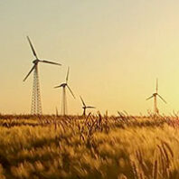 wind turbines in field
