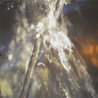 Close up of water spraying
