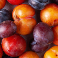 Purple, orange, and red plums in closeup