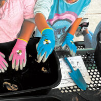 Kids in colorful gloves prepare soil in containers for planting vegetables