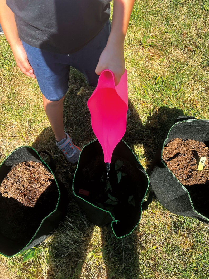 A boy pours water into a bag of soil