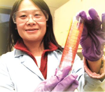 A scientist wearing goggles holds a tube with cloth fibers