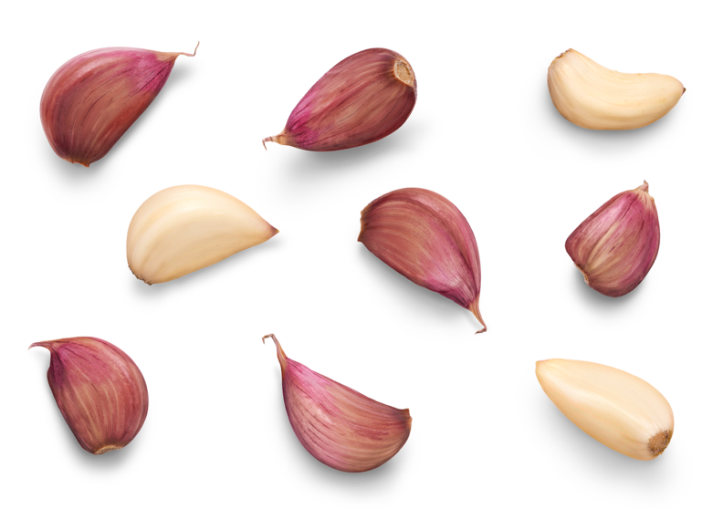 Inchelium Red garlic cloves