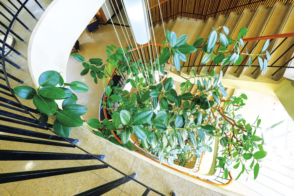 standing-tall-washington-state-magazine-washington-state-university