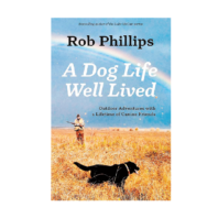 2024winter-dog-life.700-2-