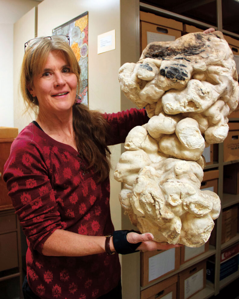 Woman in plaid shirt holds a large fungi