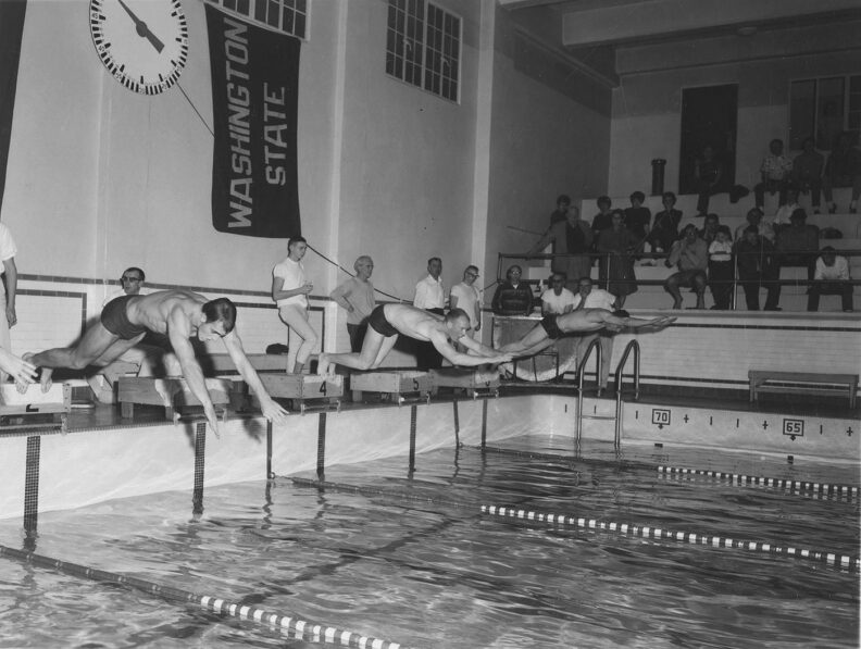 black and white photo of three young men diving into a pool at the start of a race
