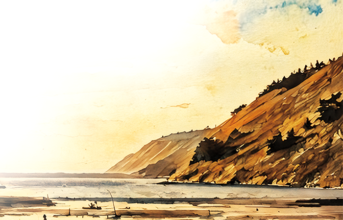 illustration of coast of Whidbey Island