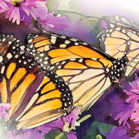 illustration of monarch butterflies on purple flowers