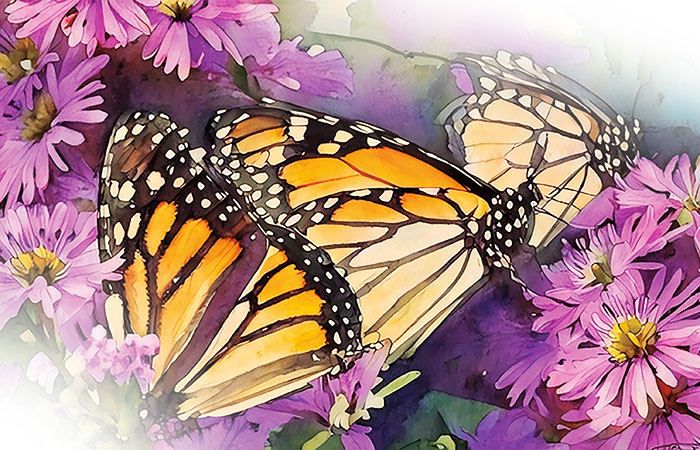 illustration of monarch butterflies on purple flowers