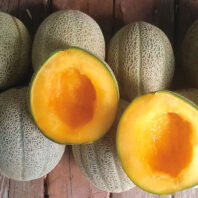 Pile of yellow-orange melons, some cut in half showing inside