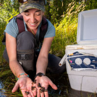 Young biologist smiling holds small frogs, a cooler next to her. Background is forest