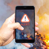 Hand holding a smartphone with Alert! on the screen. Wildfire and smoke in the background