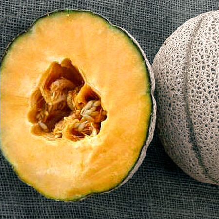 orange cantaloupe cut in half