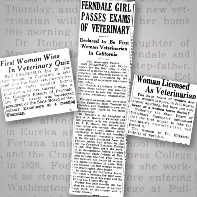 Series of clippings Catherine passing the California veterinary certification board as the first woman and with the highest score ever as was picked up by the Associated Press