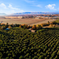 Aerial view of agricultural fields and orchards stretching across a valley landscape, with roads, scattered buildings, and low hills visible in the distance under a blue sky.