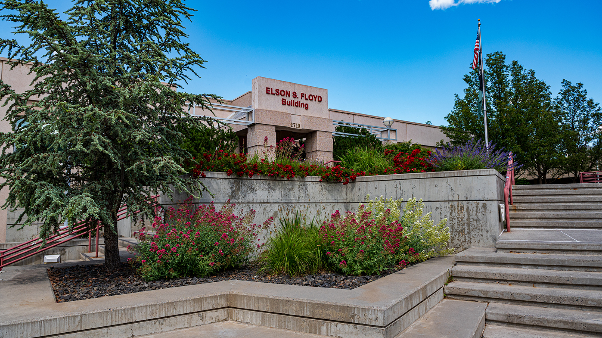 WSU Tri-Cities