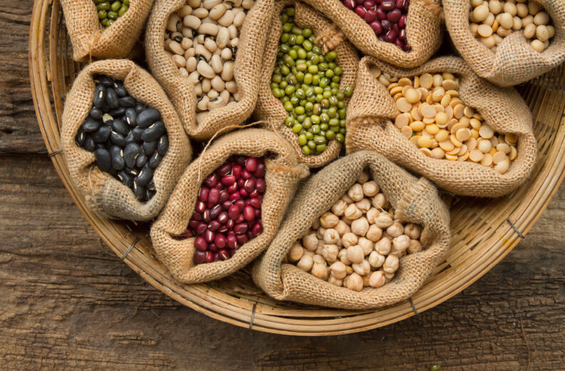 Plant proteins sustainable foods