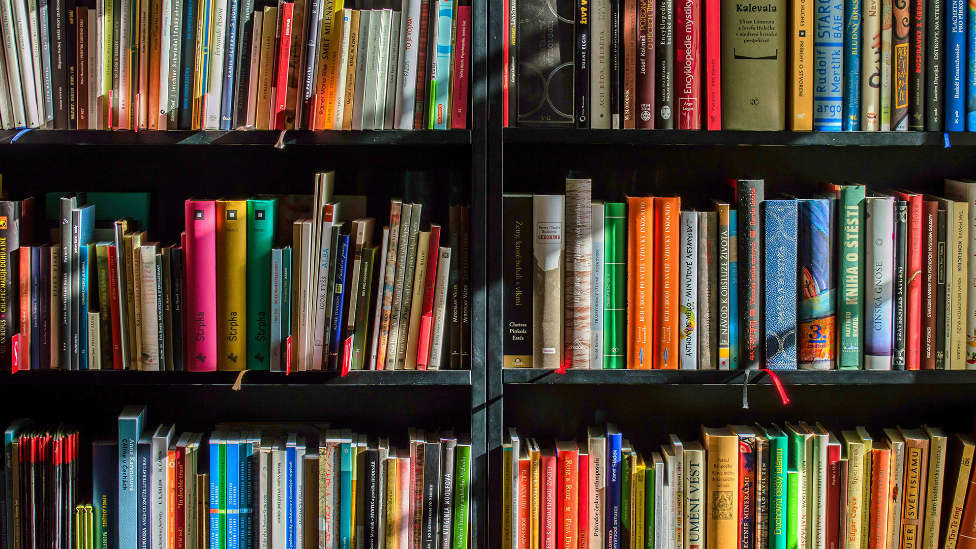 Rows of books on a bookshelf.