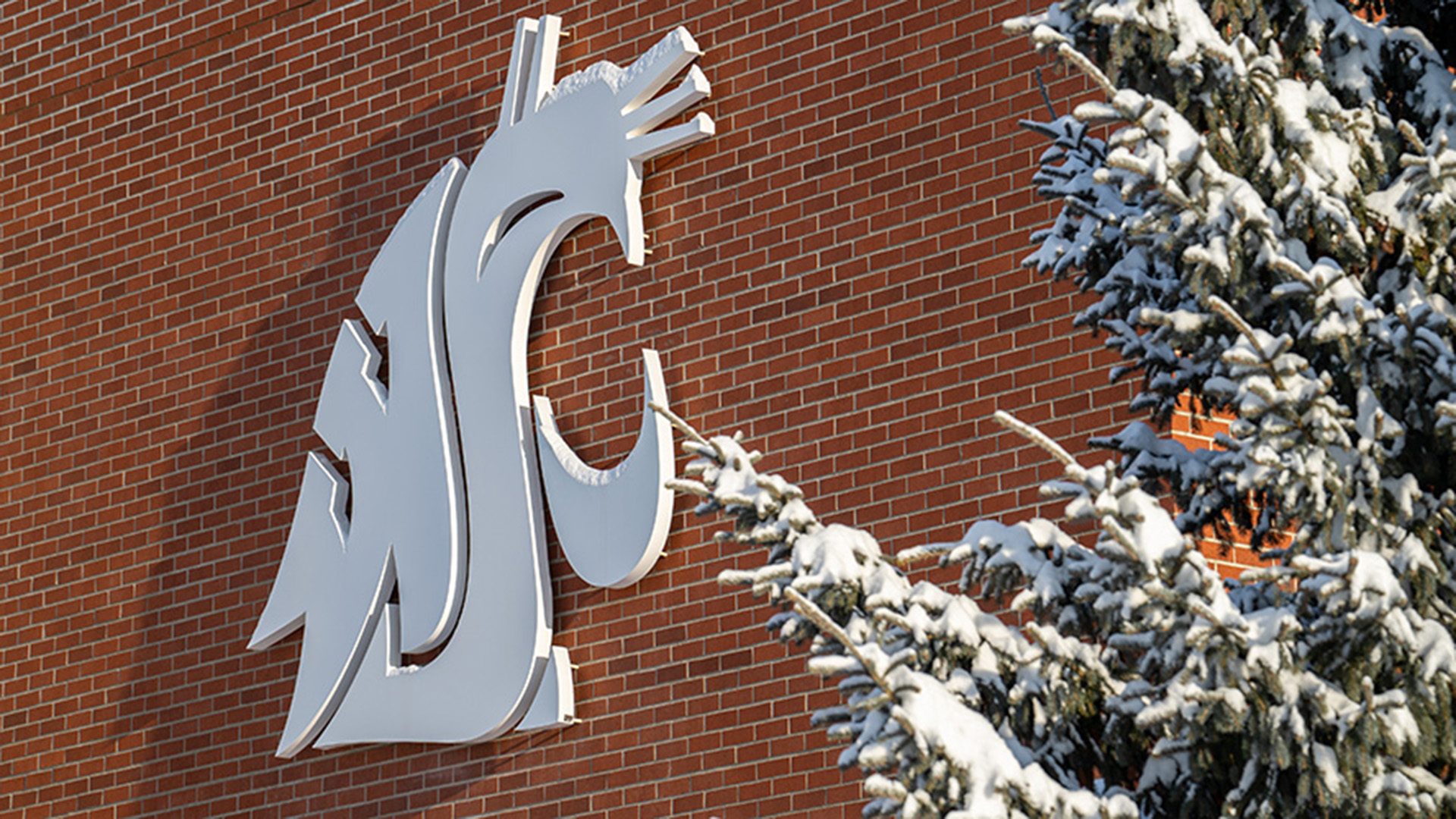 Snow on the WSU Spokane Campus.