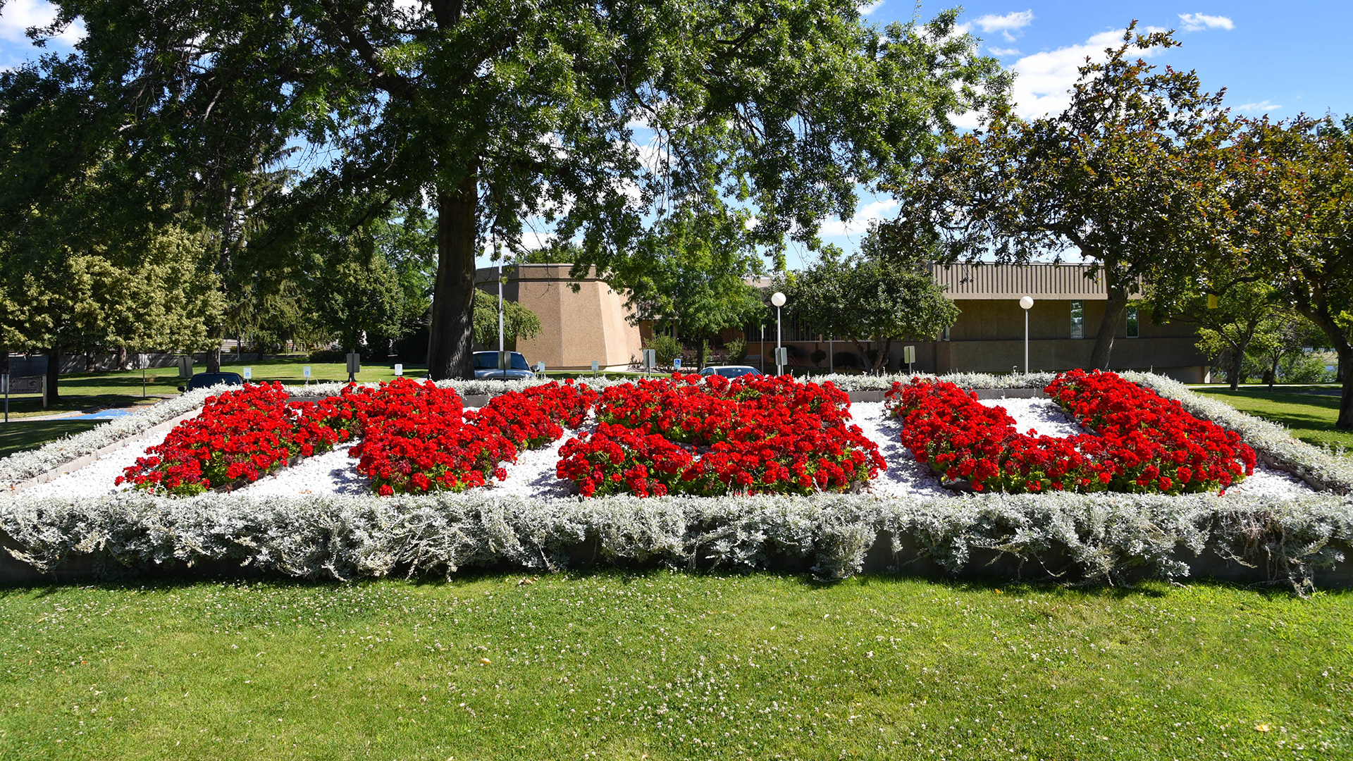 Flowers spelling out WSU on Tri-Cities campus outside.