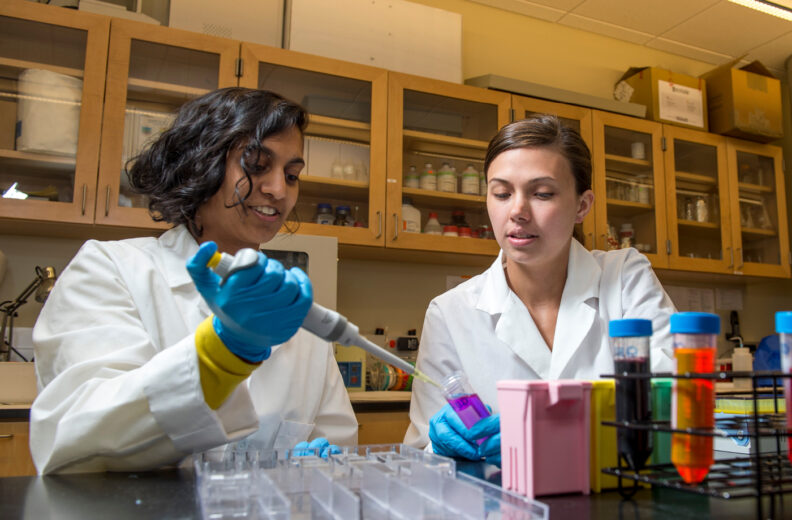 2 students working in a research lab. Putting samples into test tubes.
