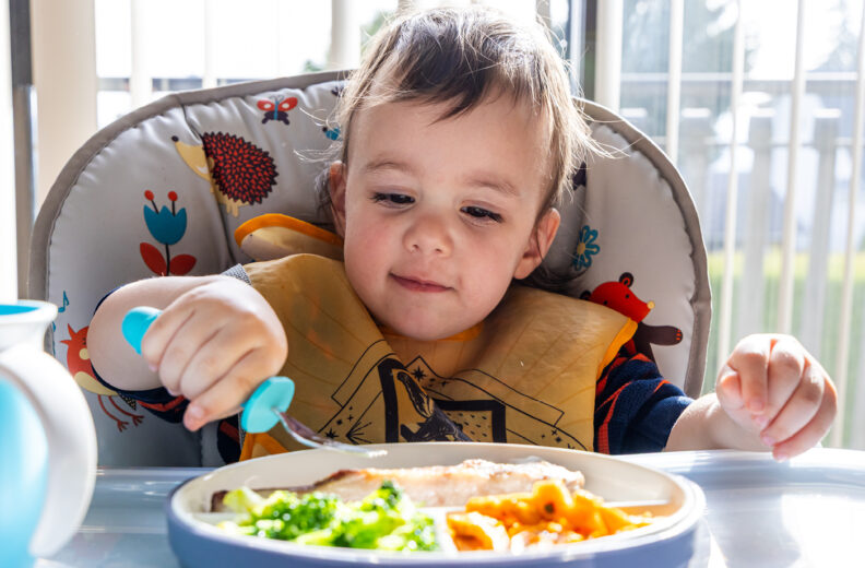 A toddler sitting in a high chair using a fork to poke a plate of food that has veggies, pasta and chicken on it.