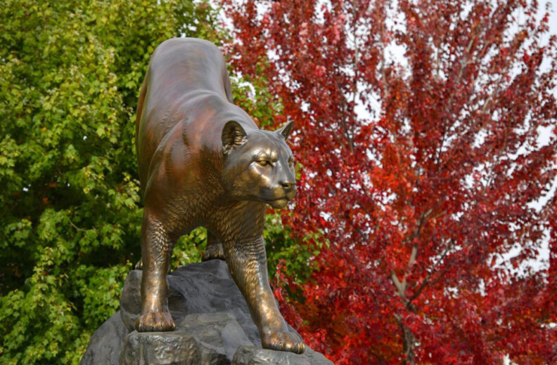 Cougar statue outside with red and green fall foliage behind it.