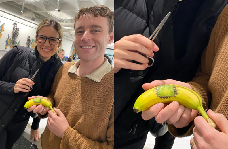 Two people are holding a banana with a rectangular section of its peel removed, revealing the inside. One person is holding scissors near the banana, and the other is supporting it. The setting appears to be indoors with artwork visible on the wall in the background.