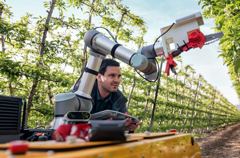 WSU researcher using a robot to prune vines.