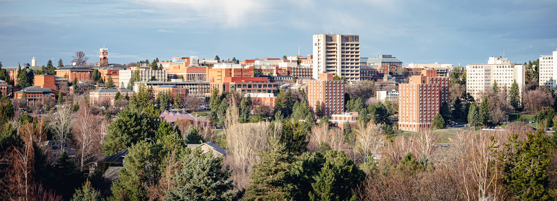 Pullman Washington Skyline.